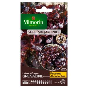 Laitue à Couper Feuille de Chêne Grenadine